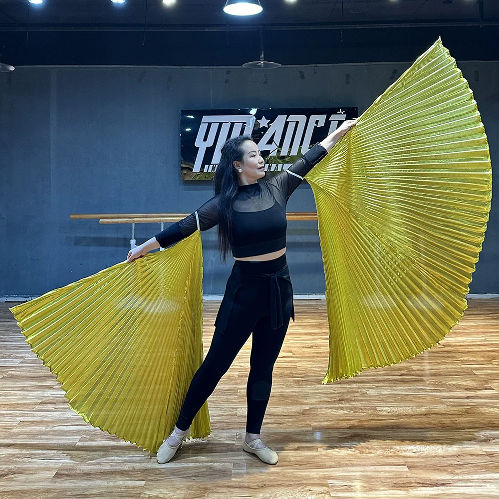 Women Belly Dance Props Praise Flags Gold Wings Arm Hanging Dance Costumes Accessory Performance Competition Flags (Set of 2)