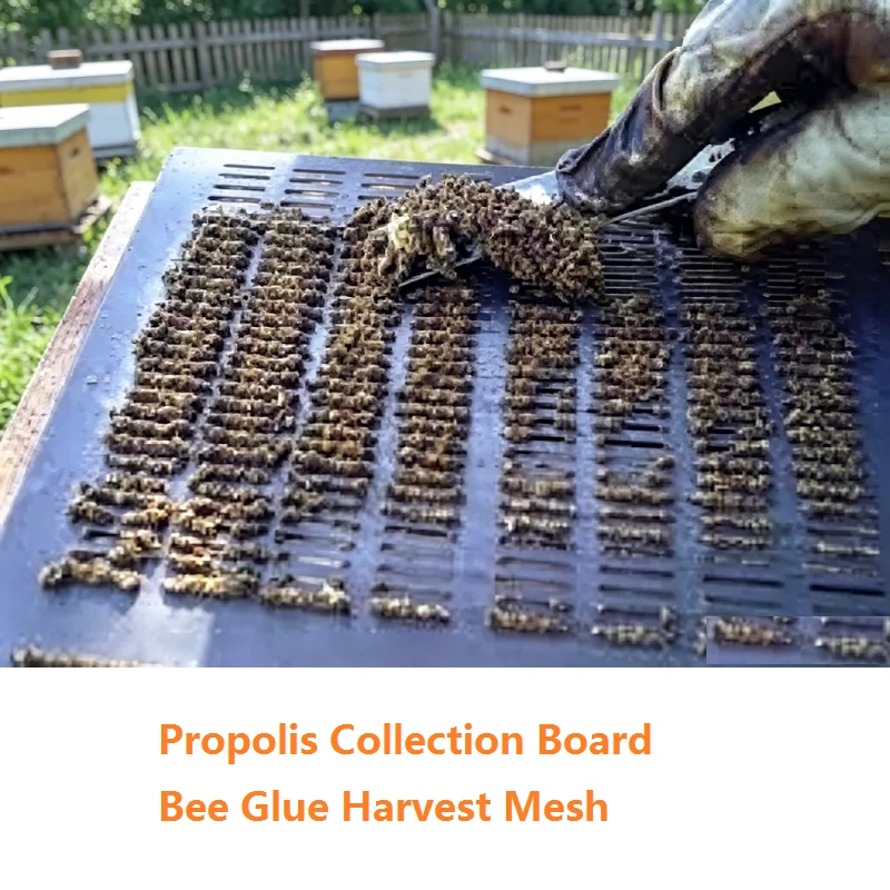 Beekeeping Propolis Collection Board Bee Glue Harvest Mesh Bee Excluder Bee Propolis Trap Collecting Propolis Beekeeping Tools