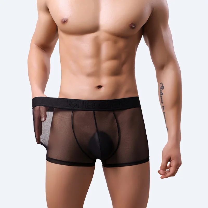 

Men's Ice Silk Mesh Underwear Summer Thin Transparent Boxer Shorts U Convex Pouch Sexy Underwear for Men Breathable Comfortable
