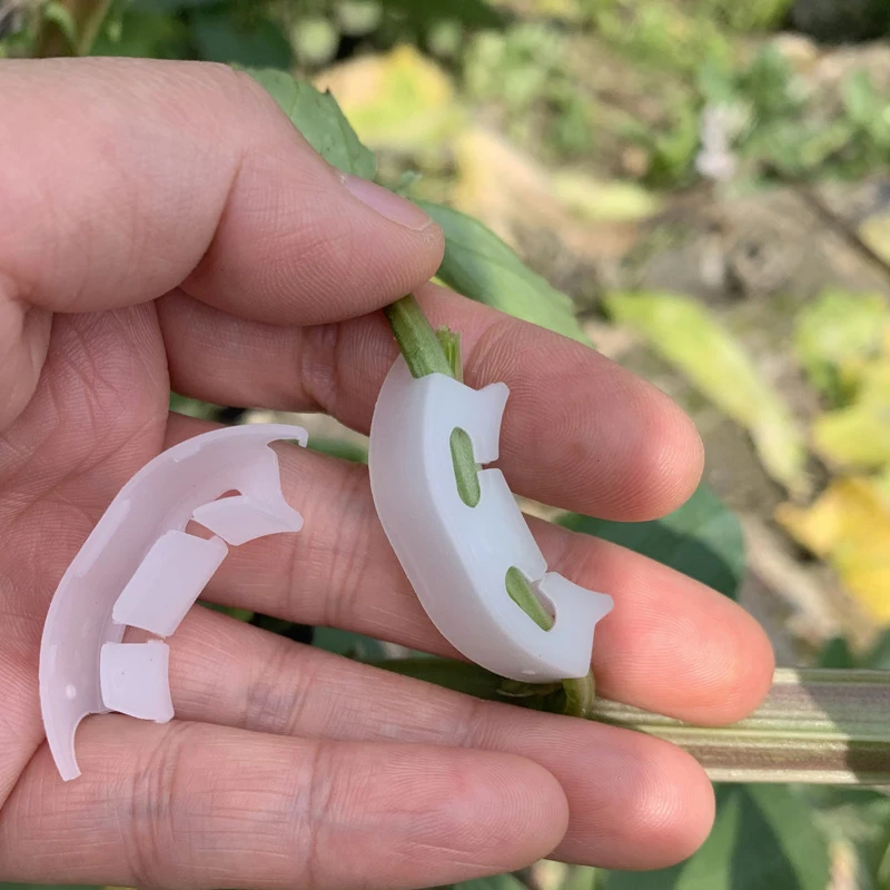 Vegetables Tomato Fixing Clips Reuseabl to Prevent Bending Support Clamp Fruit Flower Green Plant Seedling Reinforcement Clips