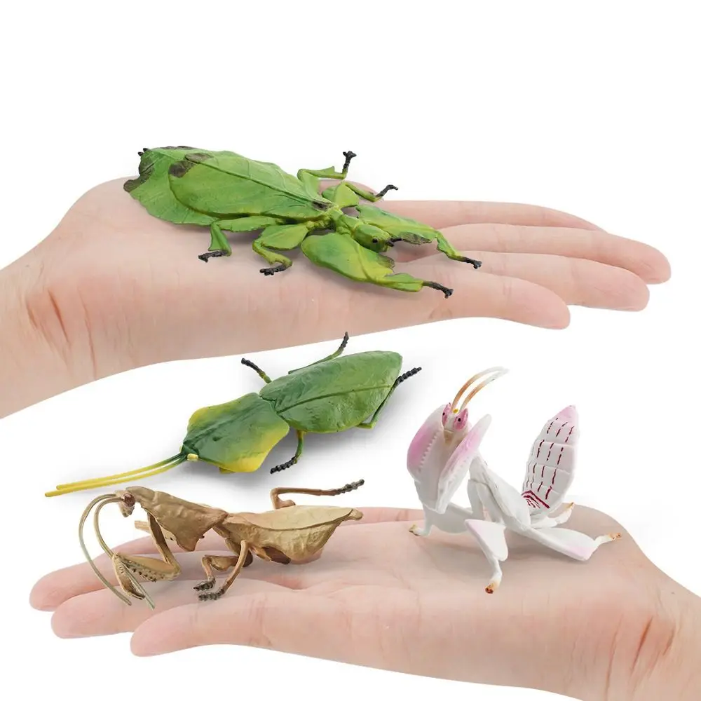 Simulation Insect Animal Model Deroplatys Desiccata Orchid Flower Mantis Action Figures Cognitive Education Teaching Aids Toys
