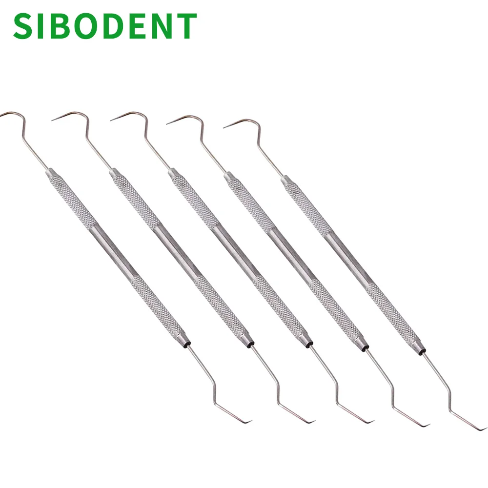 

5PCS Double Hook Tooth Dental Explorer Probe Dentist Tool Stainless Steel Dental Tool Teeth Clean Hygiene Explorer Probe hook