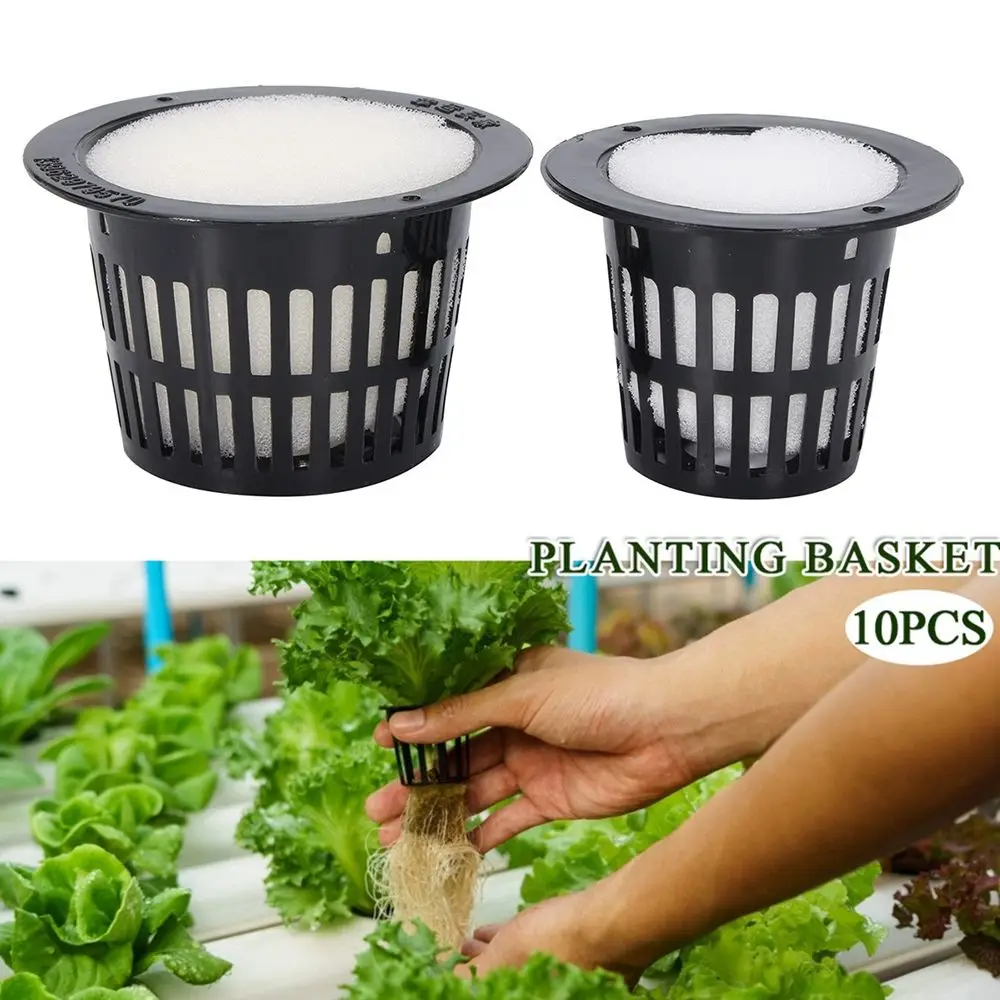 

Germinate Heavy Duty Plant Grow Foam Insert Vegetable Hydroponic Nursery Pots Planting Basket Mesh Pot Net Cup