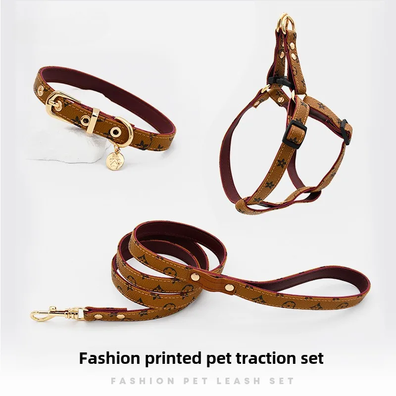 #10 Ranked Adjustable Pet Collars Picks in 2026