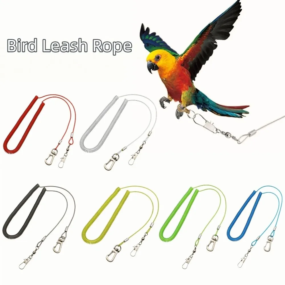 Ultra-light Parrot Training Leash 3/5m Length Options Anti-bite Pet Training Tools Flexible Rope Bird Flying Rope Pet Supplies