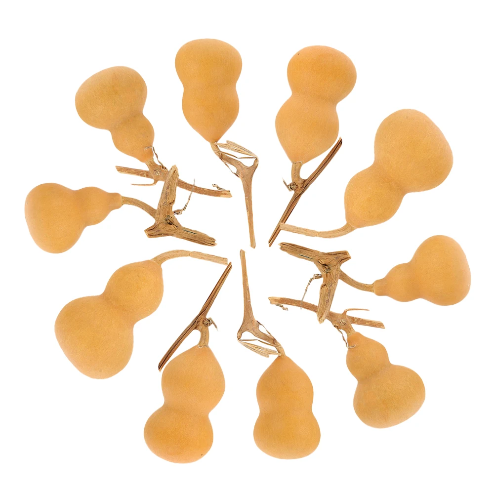 

10 pcs Crafts Decors Home Decor Desktop Natural Gourd Crafts Natural Party Ornament Decoration