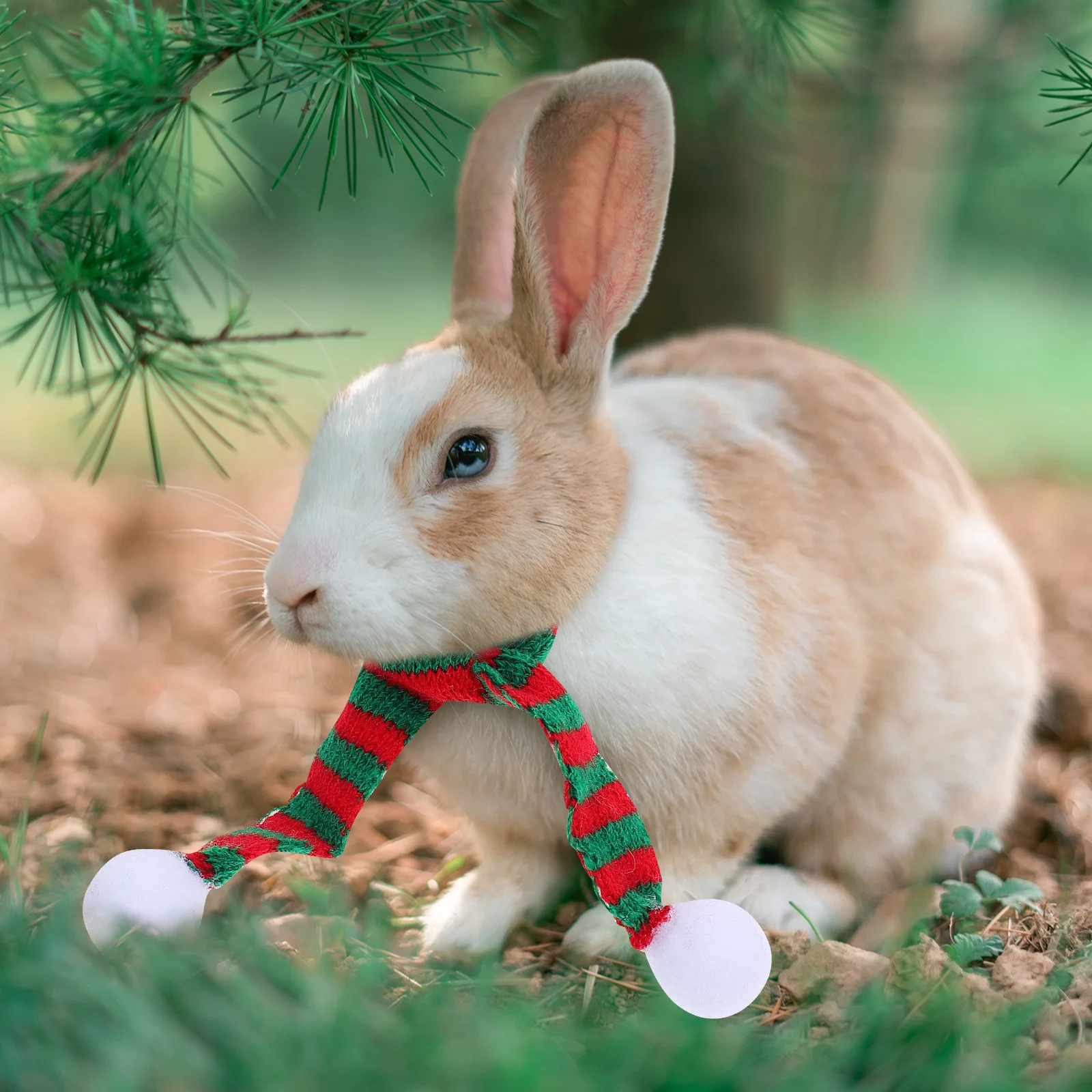 

4Pcs Rabbit Christmas Pet Hat Scarf Small Animal Xmas Decorative Caps Photo Props Supplies Rabbit Christmas Hat