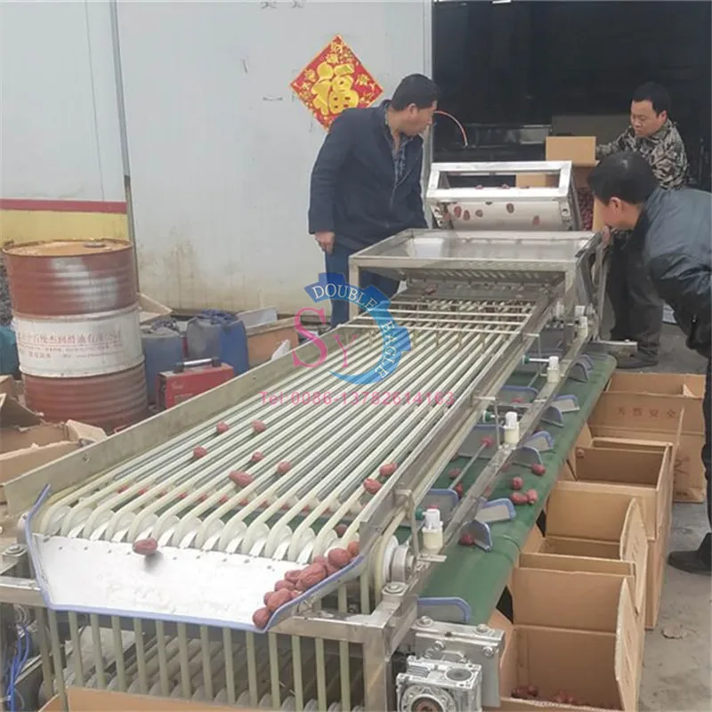 Máquina clasificadora profesional de alto rendimiento, 5 niveles, naranja, frutas y verduras, cereza, tomate, nuez, patata pequeña, cítricos