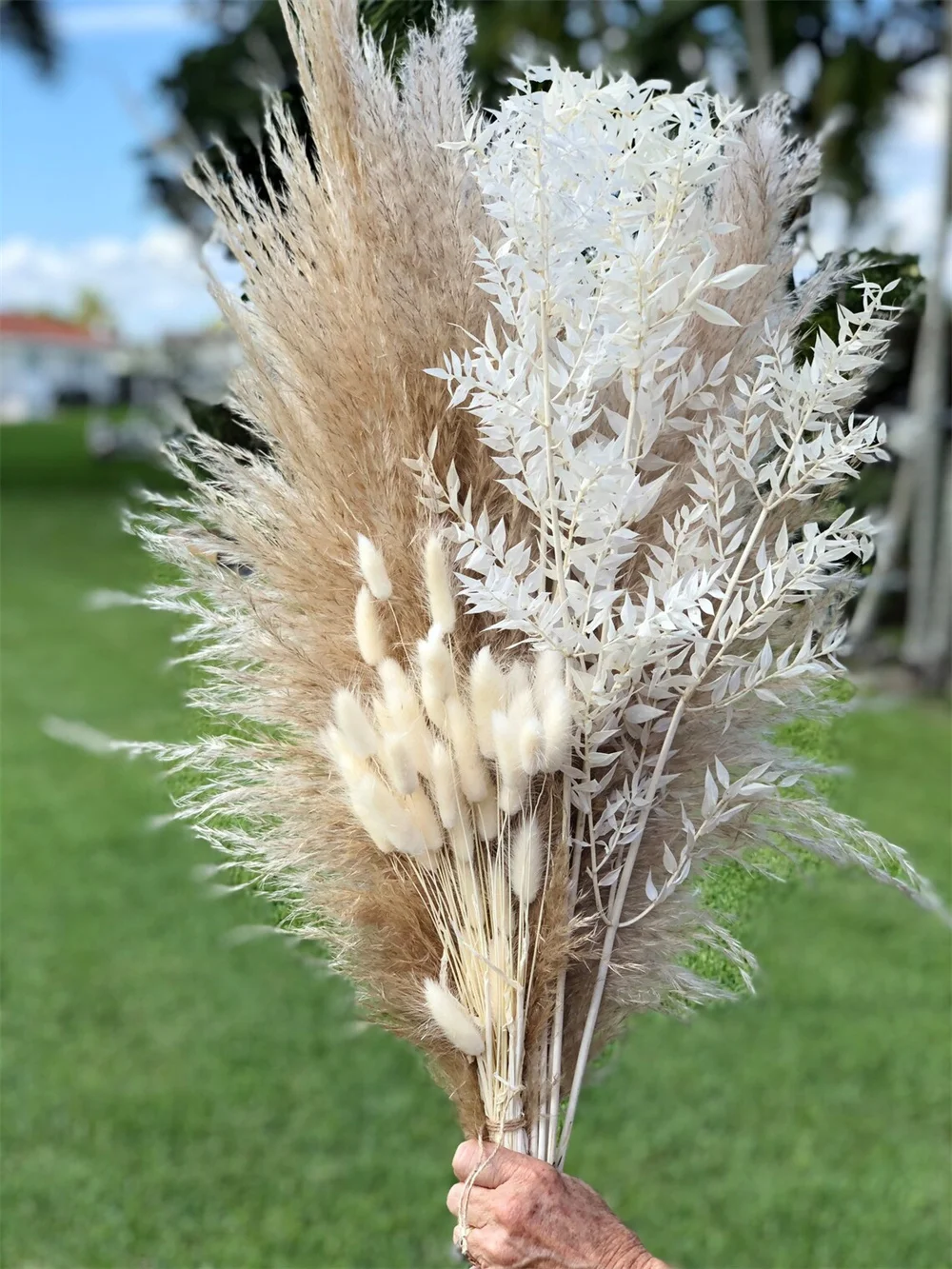 Dried Pampas Grass Bunny Tails Christmas Decoration Dry Flower Bouquet Bridal Bouquet Arrangement Boutonniere Preserved Flower