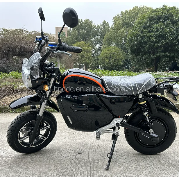 Factory Direct Electric Motorcycle with 1000W Electric Bikes Lithium/Lead-Acid Battery Choices Quantity Based Discounts