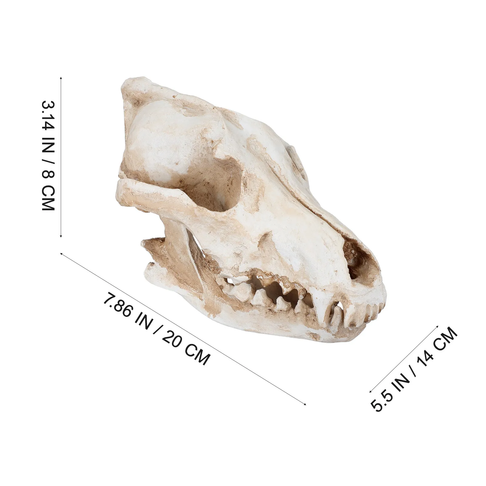 Decor Ornament Home Decoration Halloween Christmas Animal Skull Animal Skulls Decor Animal Skull Decoration Wolf