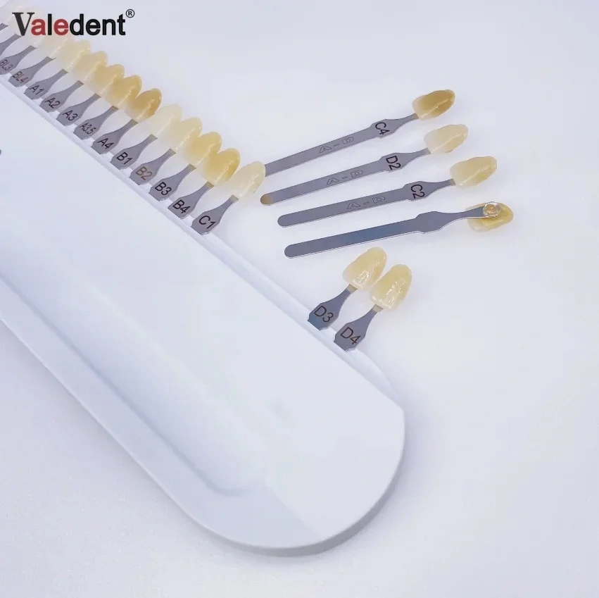دليل تظليل الأسنان للأسنان A-D مادة البورسلين مخطط الألوان تبييض الأسنان مقارنة مادة البورسلين