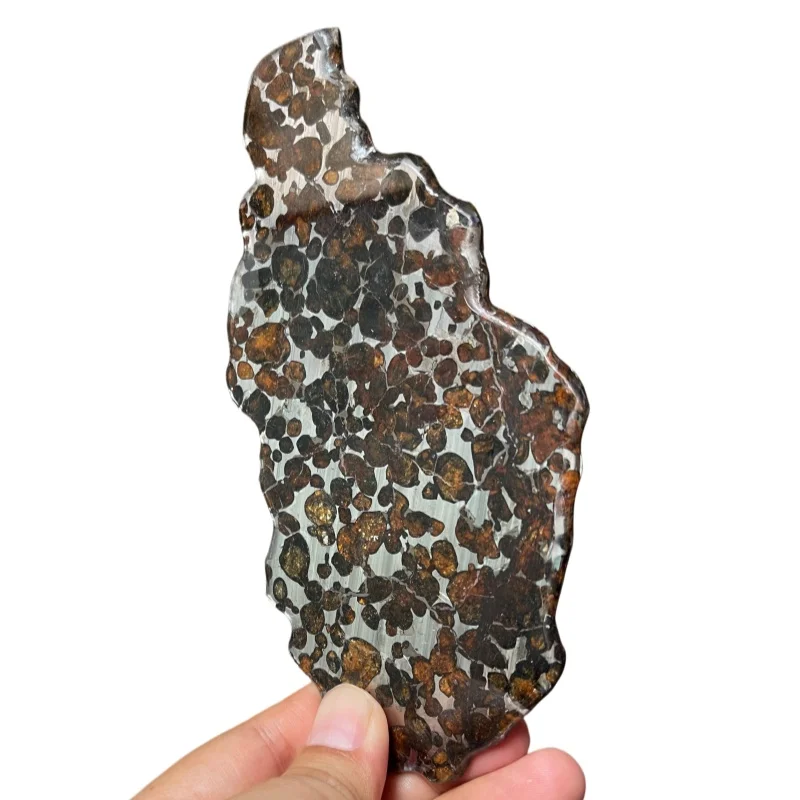 Premium Sericho Pallasite Meteorite Slice, Unique Space Stone with Dense Golden Olivine for Collection QA858
