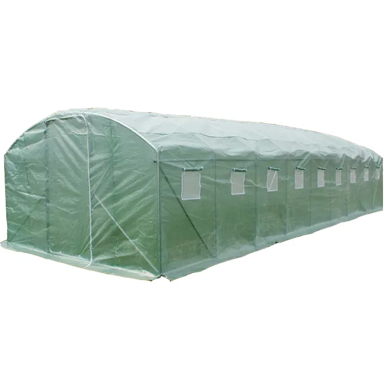 

2025Large Tunnel Greenhouse Agriculture with Steel Frame Entrance Door