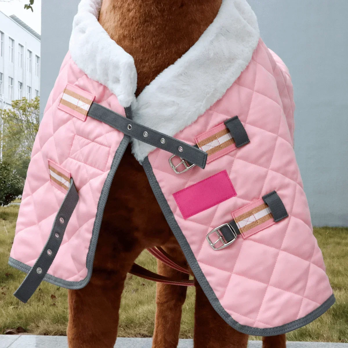 

Hot-sale Product Heavyweight Cotton Horse Show Rug