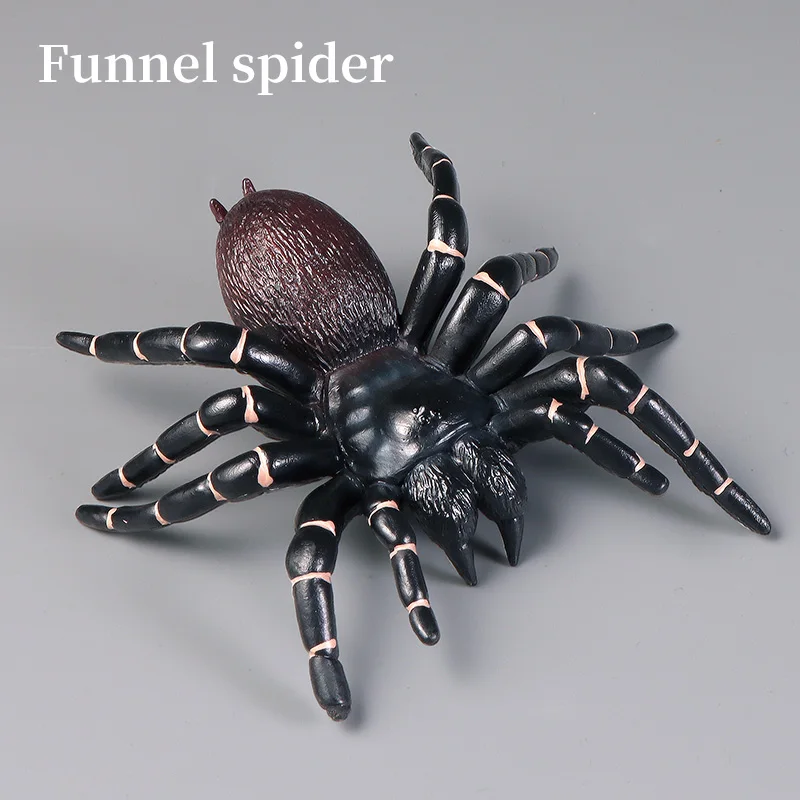 ชุดของเล่นแมงมุมสัตว์ประดิษฐ์เพื่อการศึกษา ชุดฟิกเกอร์สัตว์โลก ของเล่นเสริมสร้างความรู้ด้านวิทยาศาสตร์และการเรียนรู้ สำหรับเด็ก