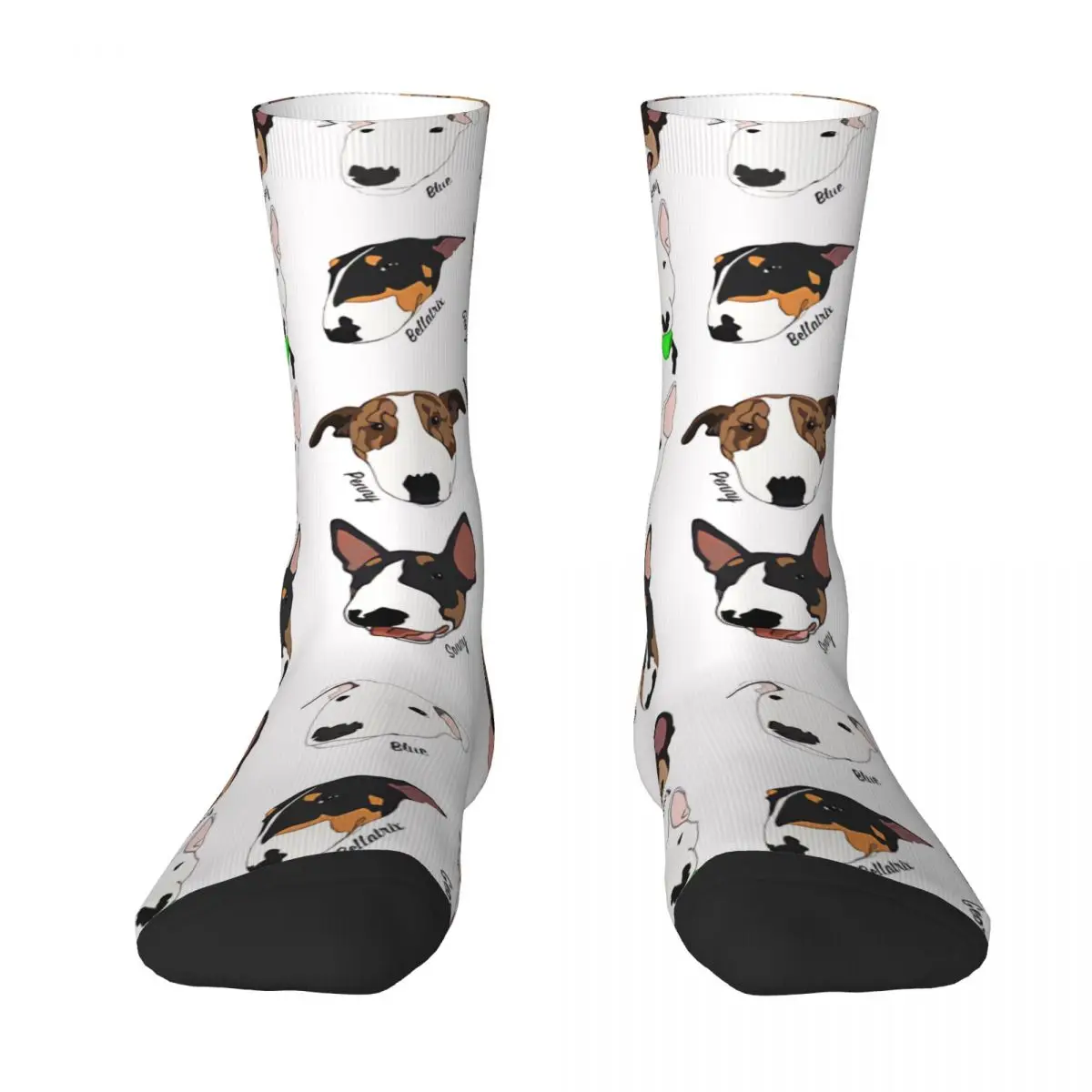 Calcetines Kawaii con estampado de dibujos animados, para la escuela, el toro Terrier