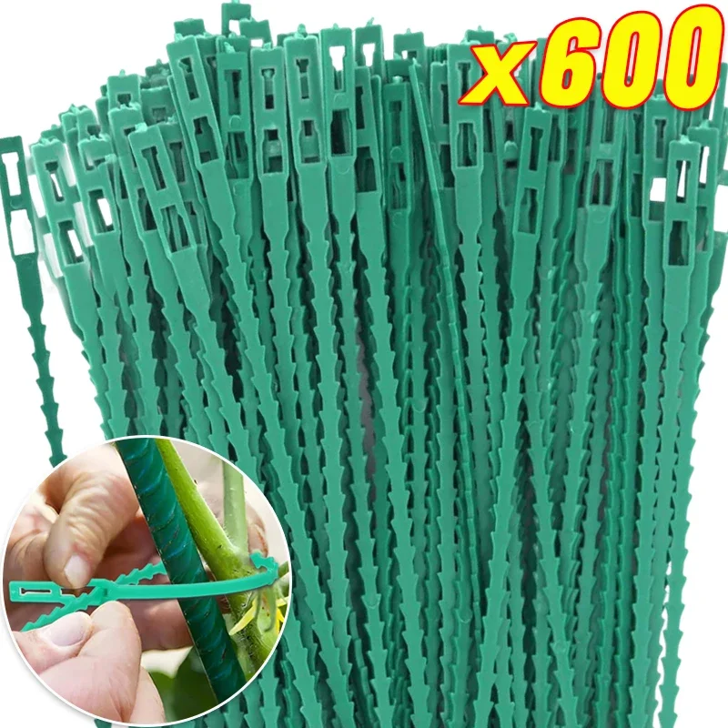 Adjustable Plant Cable Ties Self-locking Cables Tie For Plants Vine Shrubs Support Fastener Organizer Wrap Rings Garden Supplies