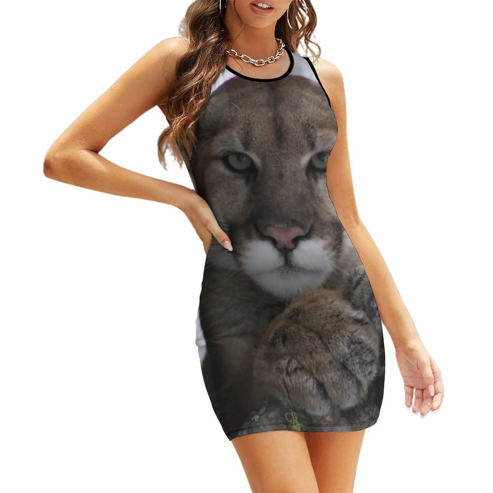 

Cougar (Mountain Lion) Photograph Sleeveless Sundress african dresses for woman wedding dresses for parties ceremony dresses