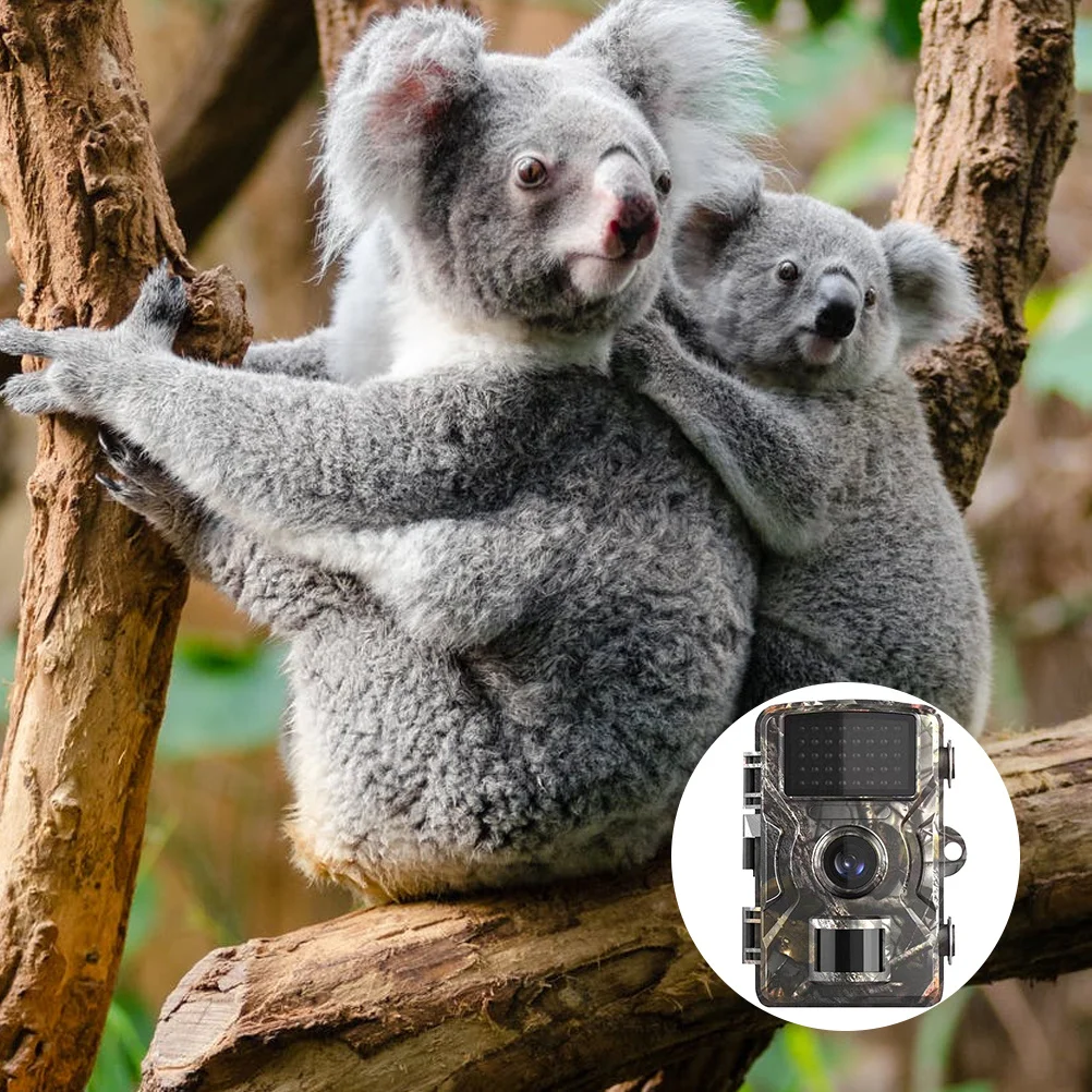 

12Mp Trail Camera 1080P Night Vision Hunting Camera Ip66 Waterproof Outdoor Wildlife Monitoring Infrared Cam For Scouting