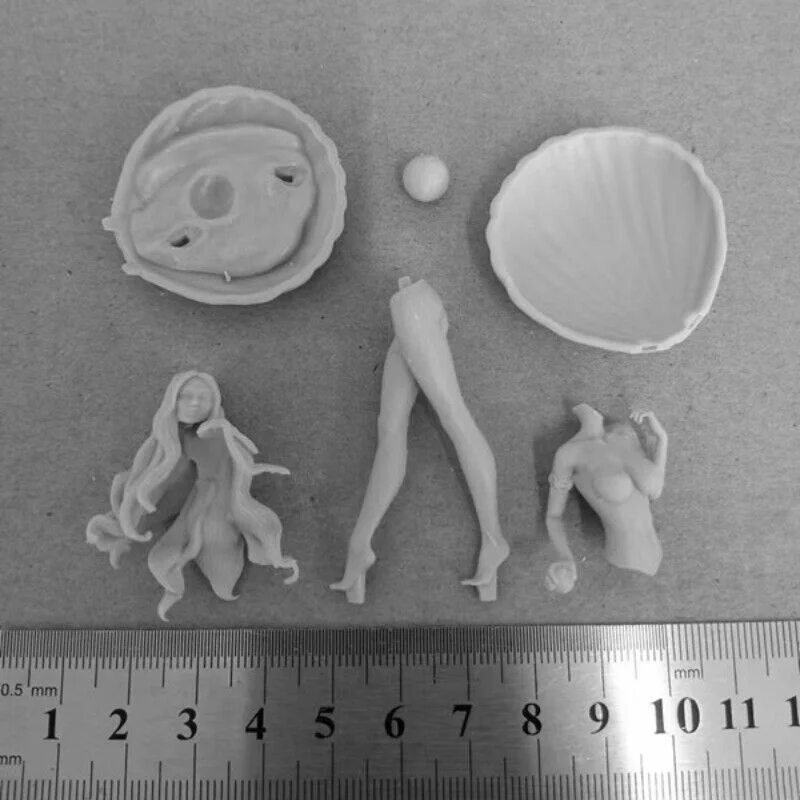 Princess Pearl of River Clam NSFW Full Resin Figure 1/24 Scale 75mm Miniature Model Kit Unassembled Unpainted Diorama Toys