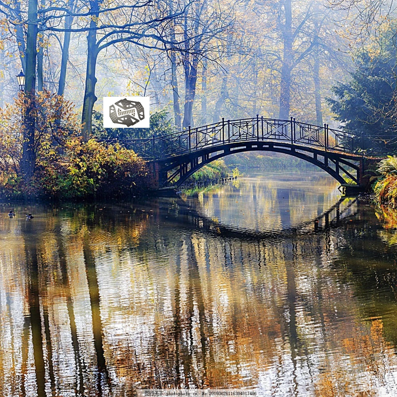 

GPM Carbon Fiber Chassis Side Panels Front Rear for LOSI 1/8 LMT SOLID AXLE Part Number LOS241034