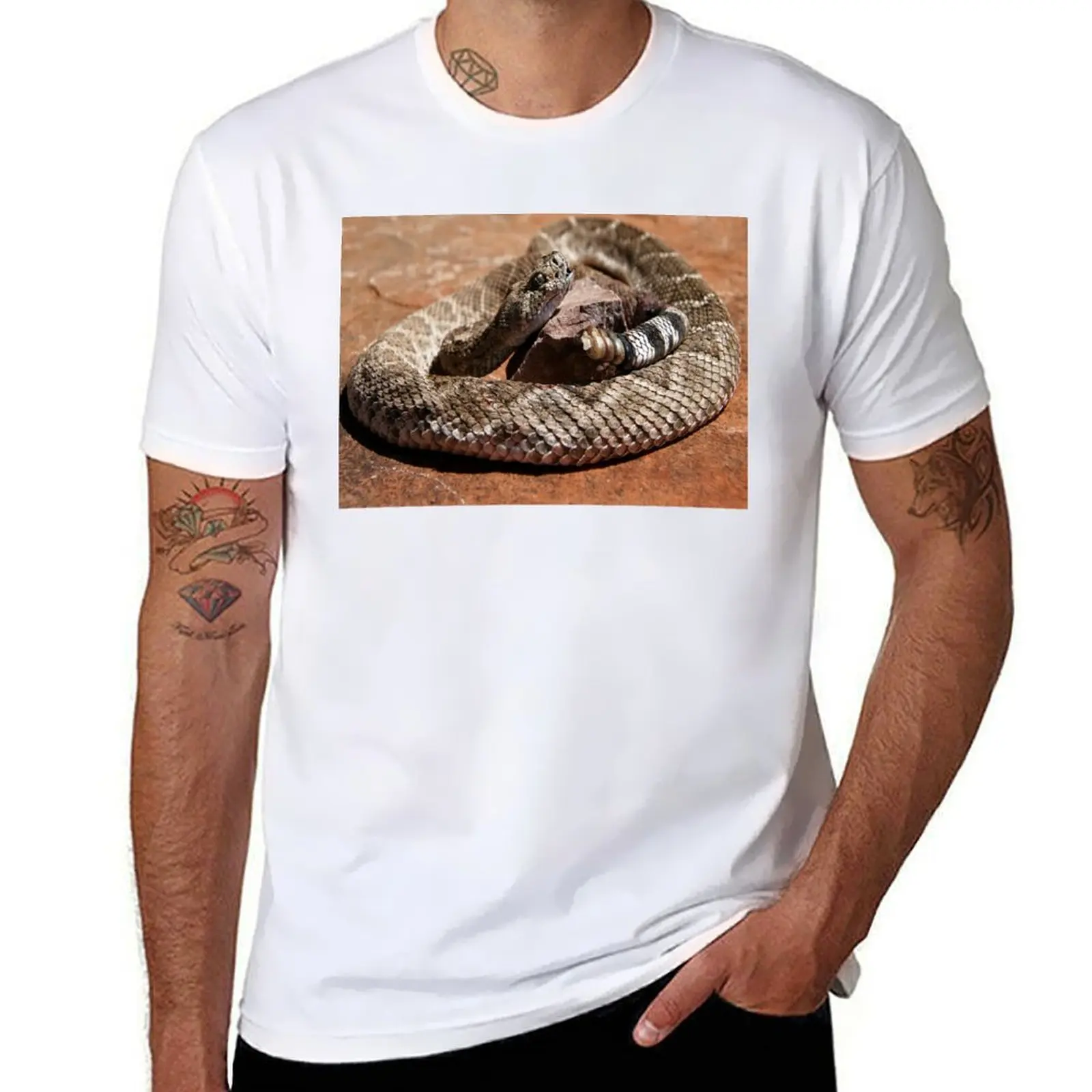 

Western Diamondback Rattlesnake T-Shirt funny t shirts cotton t shirts for man cotton soft T-Shirt
