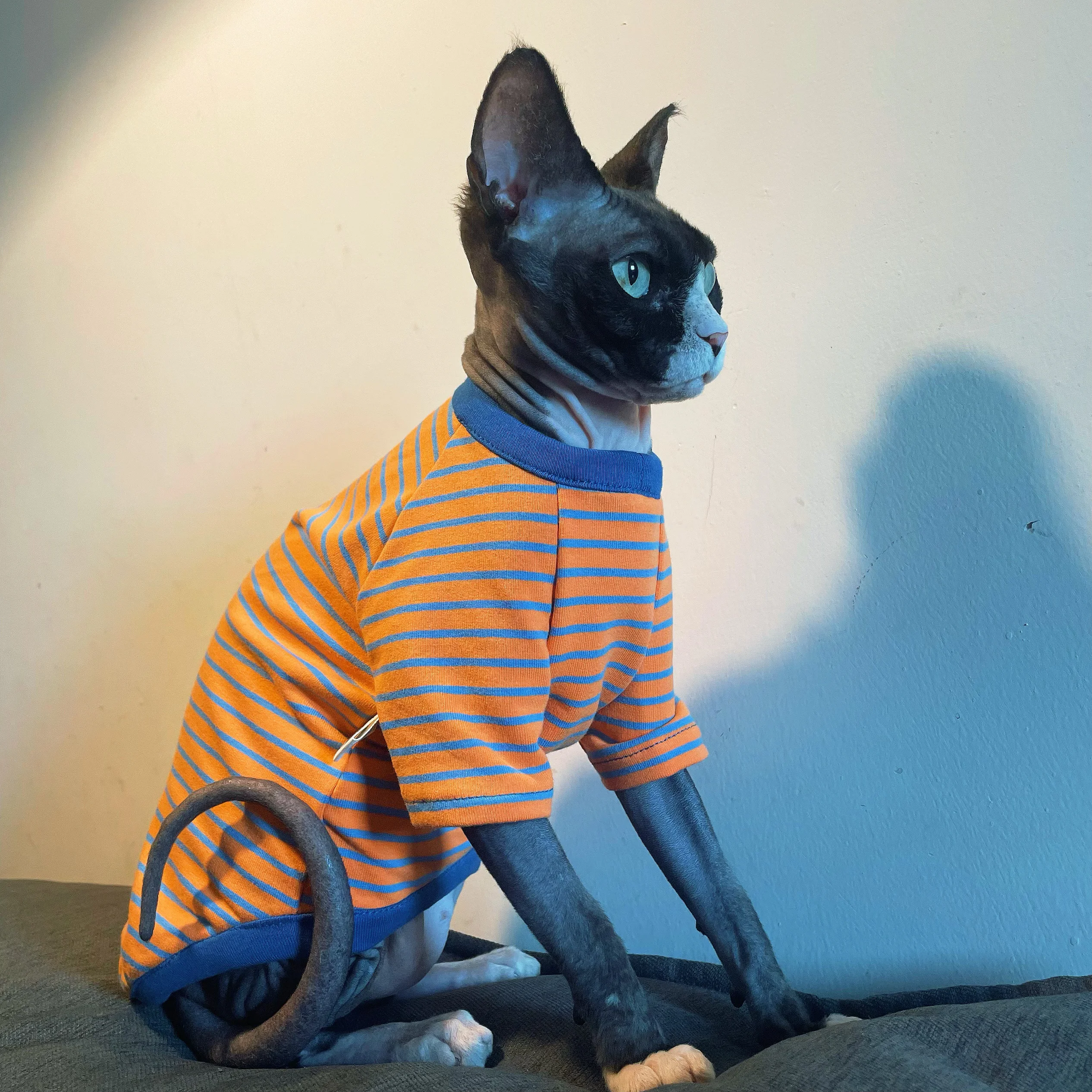 Striped Retro Cotton T-Shirt for Cats Small Dogs Long Sleeves Spring Autumn Coat for Sphynx Cat Devon Rex Soft Blue Yellow Coat