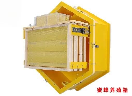Newly upgraded indoor bee farming ornamental beehive beekeeping utensils