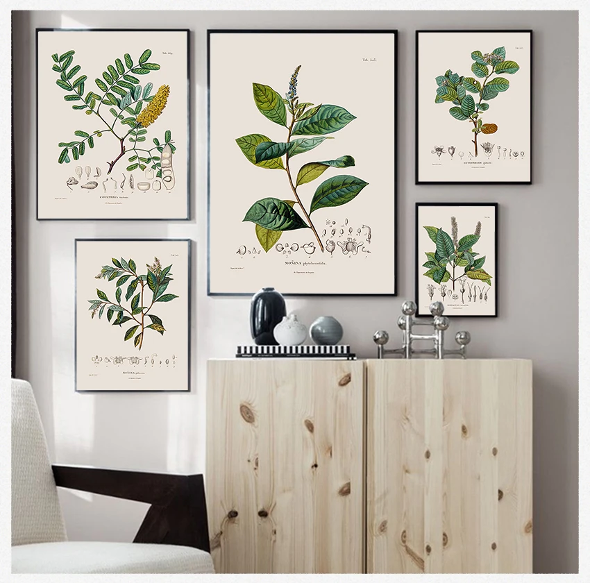 French Plant Illustrations Canvas Painting Botany Wall Art Pictures Decor Botanical Studies Vintage Posters and Prints Antique