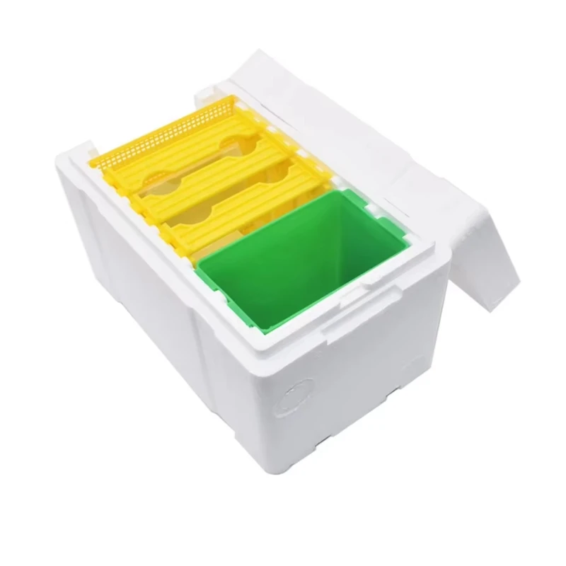 One Layer Queen Bee…