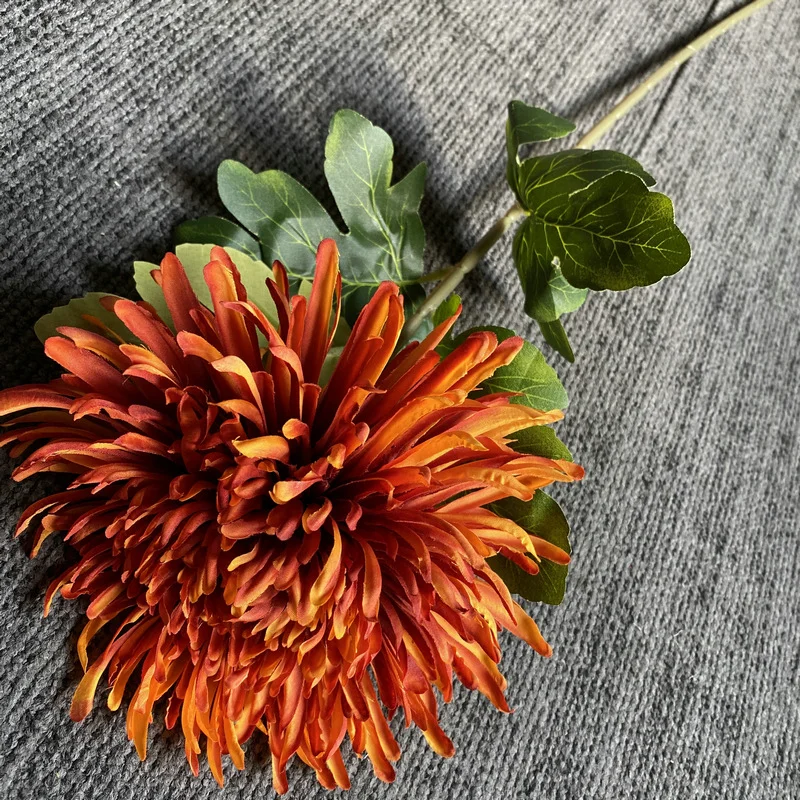 Simulierte einzelne Drachenklaue Chrysantheme gefälschte Blume Wohnzimmer Schlafzimmer Desktop Platzierung Weihnachtsdekoration – Detail 9