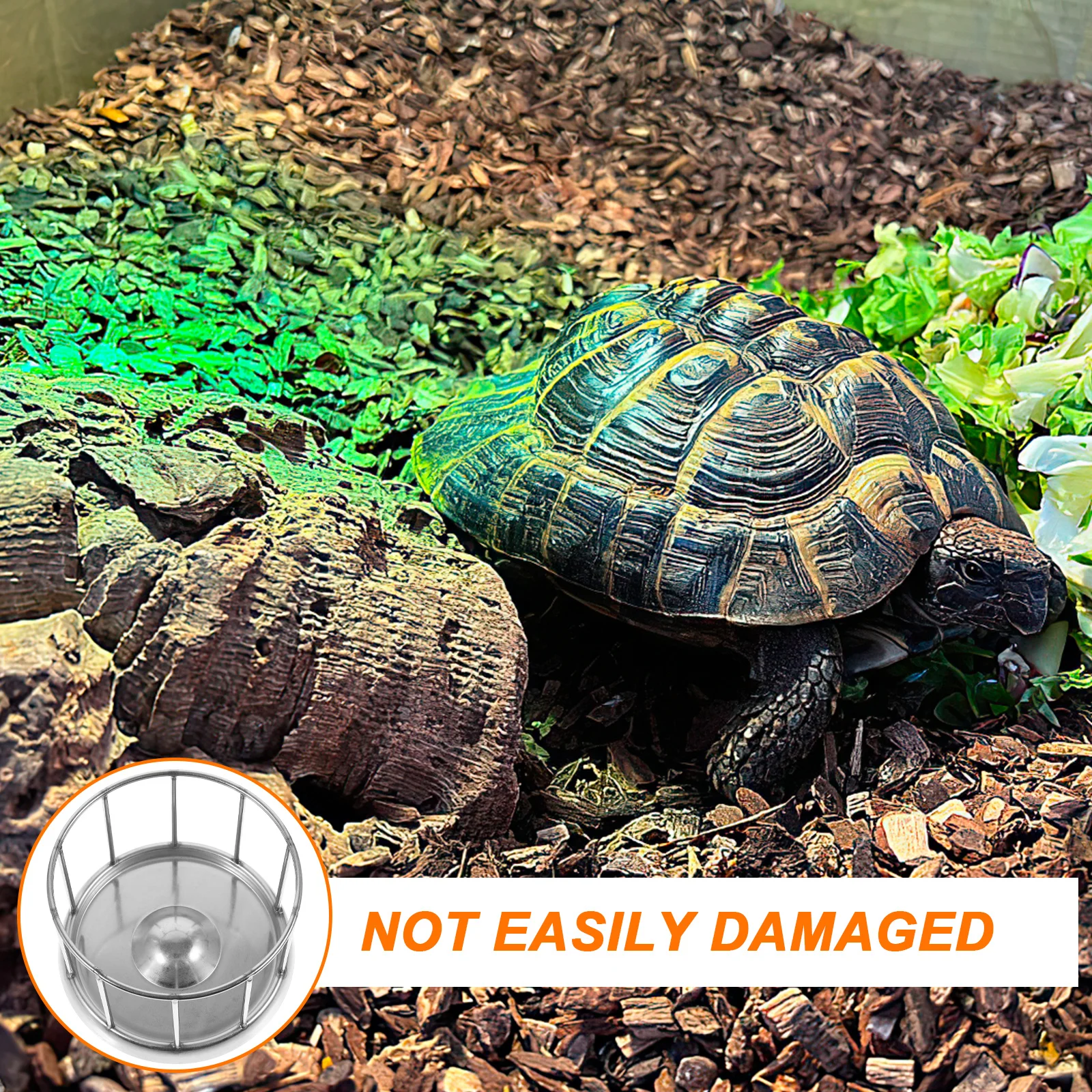 

Stainless Steel Turtle Food Water Dish Large Capacity Reptile Feeding Bowl Corrosion Resistant For Tortoise Crawler Pet