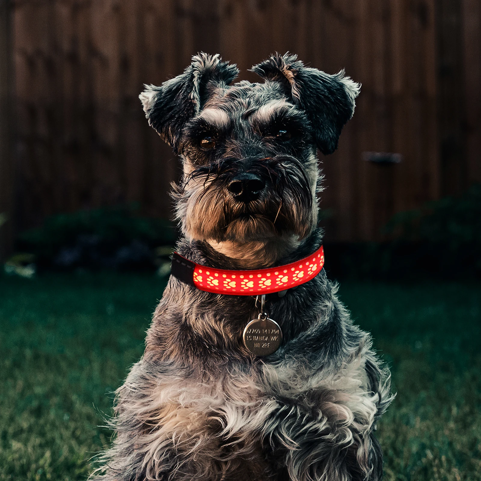 Dog Glow Collar 3 Modes Flash Constant Light Adjustable Buckle Pet Dog Necklace Christmas ABS Box