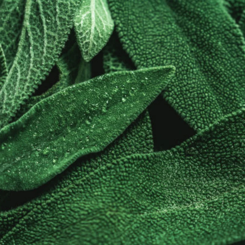 

MJX Hyper Go 14301 14302 14303 1/14 high speed RC cars spare parts original body shell