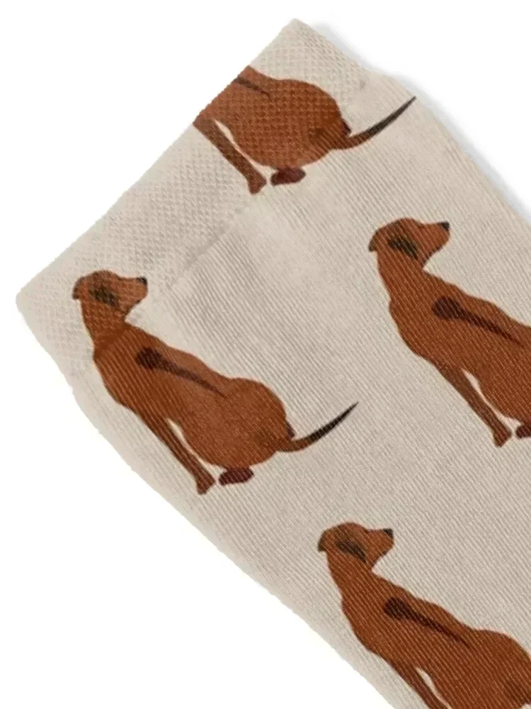 Rhodesian ridgeback Socks sports and leisure loose football new year Luxury Woman Socks Men's