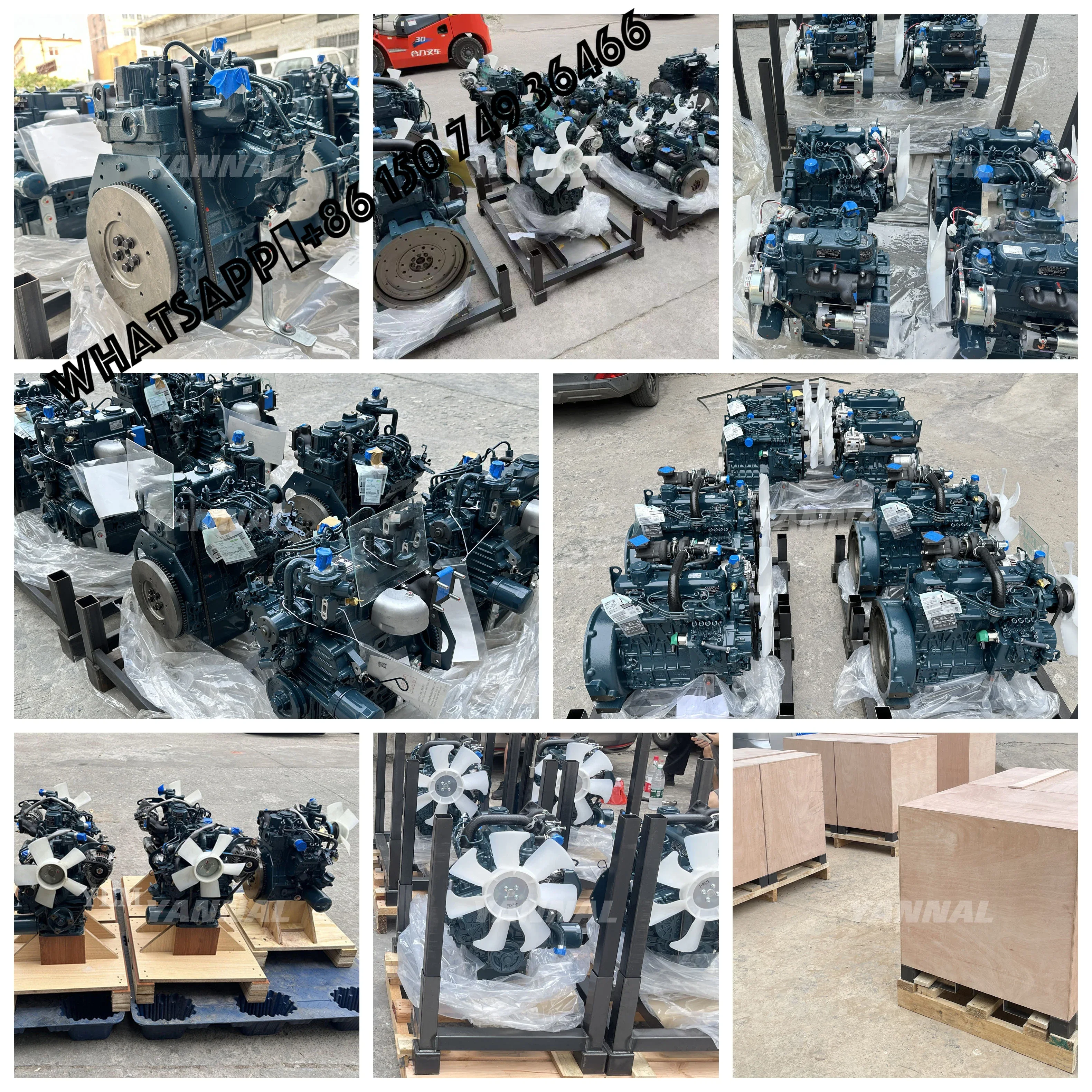 

Assy Filter Fuel for Kubota Agricultural Engine Parts 1E25043010 1E250-43010 Assy Filter Fuel