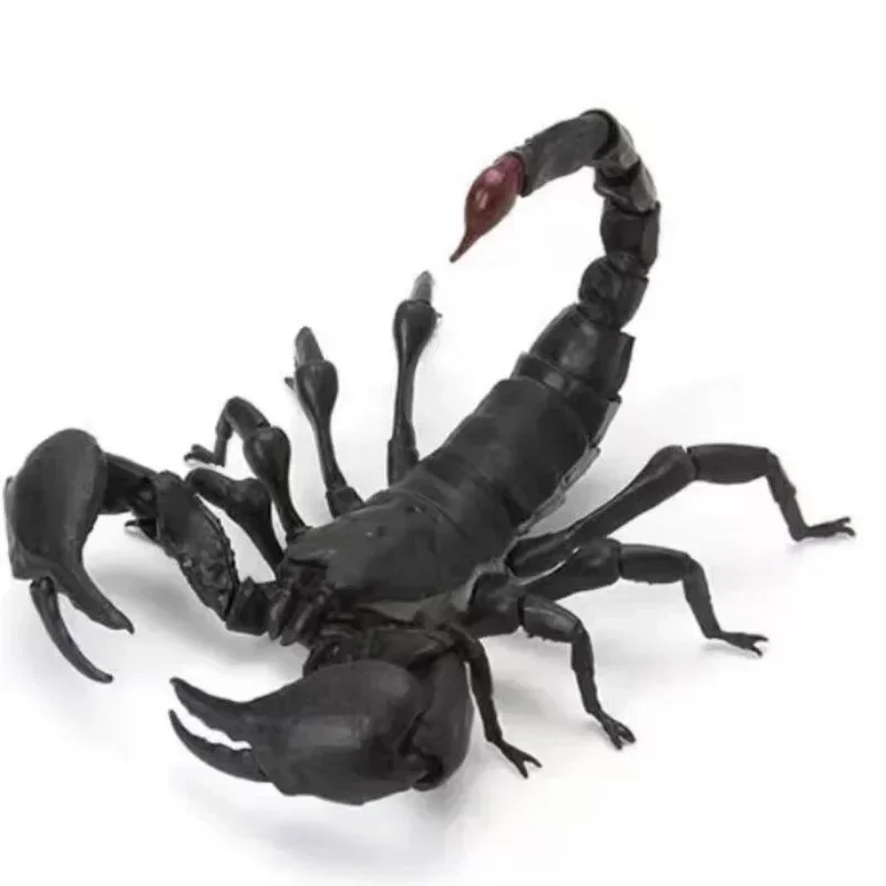 Bandai Assembled Gacha Creature Big Picture Book Scorpion Red Claw Emperor Scorpion Israel Golden Scorpion Model Ornament