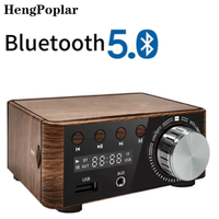 Mini Audio HiFi Bluetooth 5.0 Power Class D Amplifier Tpa3116 Digital Amp 50W*2 Home Audio Car Marine USB/AUX IN