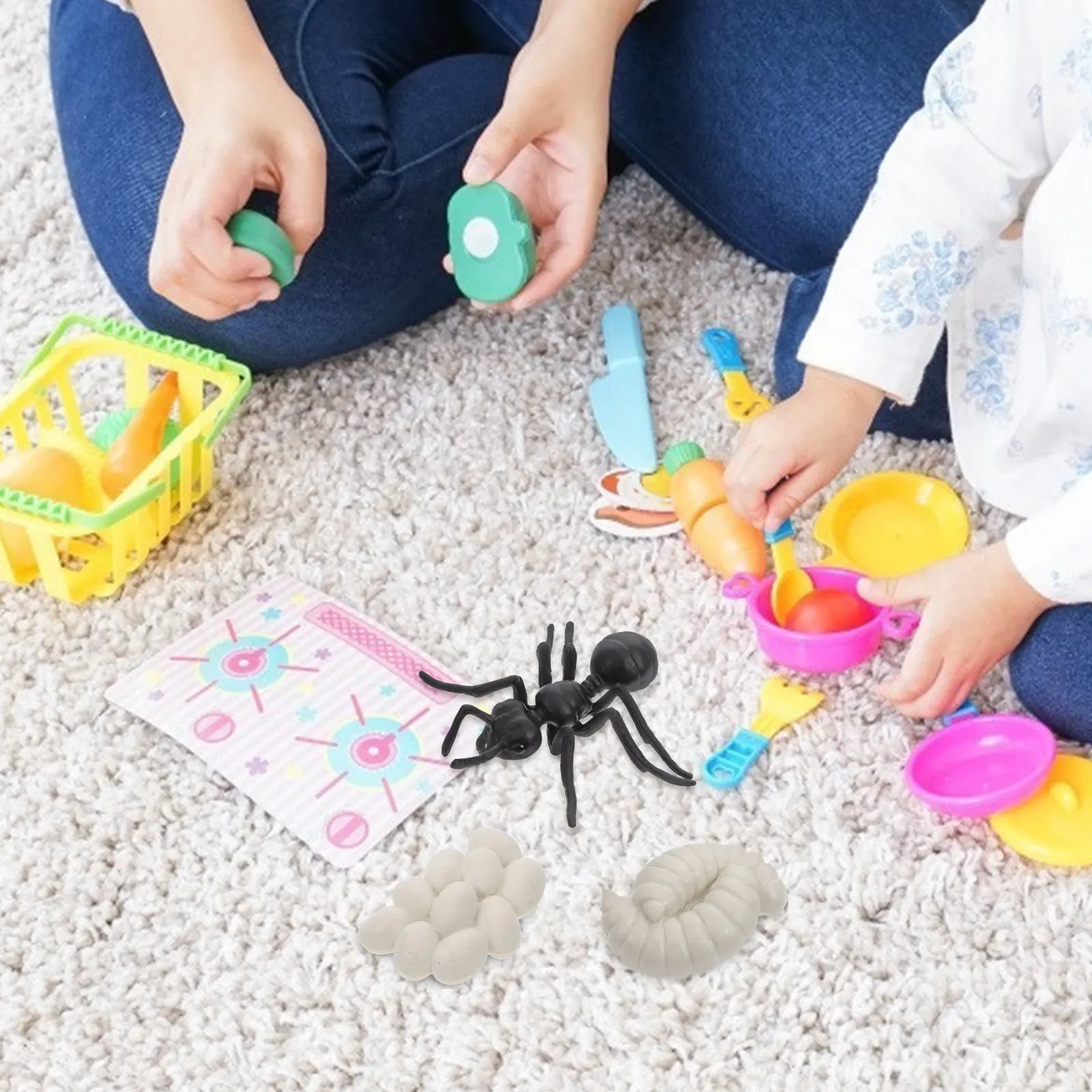 1Set Worker Ant Growth Cycle Educational Set Vivid Biological Development Display for Kids Early Learning Classroom Home Decor