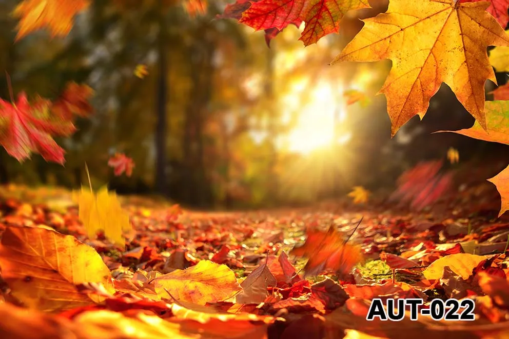 Photography Backdrops Forest Garden Autumn Fall Maples Baby Portrait Backgrounds Birthday Natural Scenery Photo Studio Props