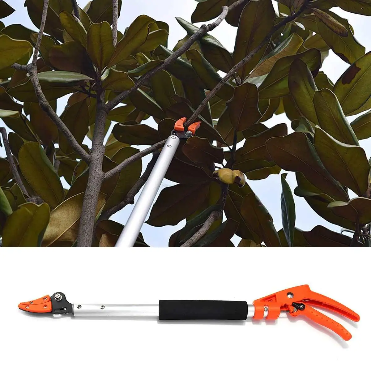 Podadora extralarga de 0,8-1,5 M, cortador de árboles y frutas, suministros de jardín, corte máximo de 1/2 pulgadas