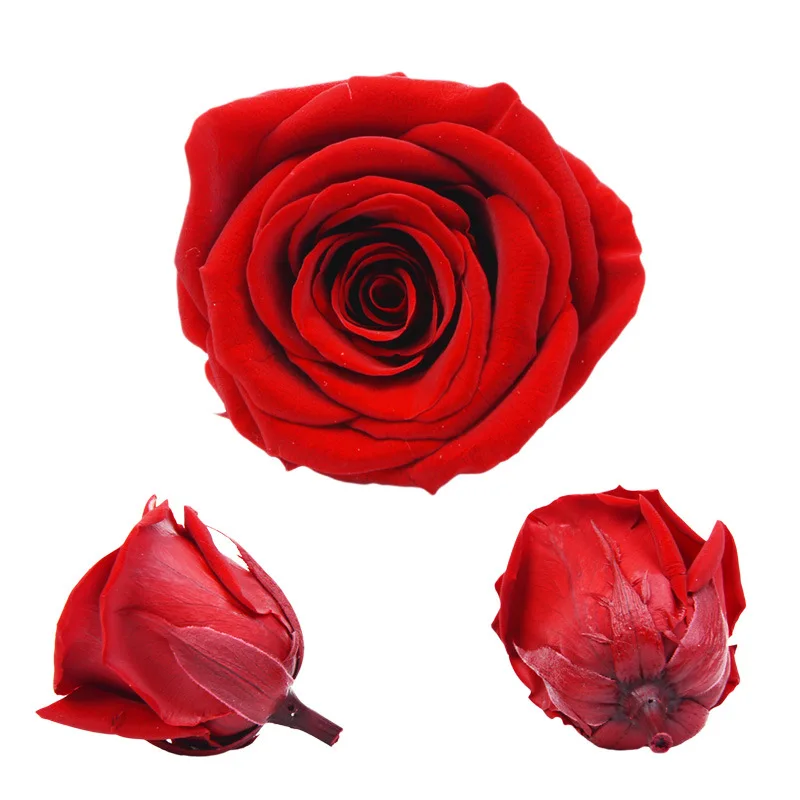 

21Pcs/Box Preserved Flowers Rose Flower Immortal 2-3CM Diameter Mothers Day Gift Eternal Life Flower DIY Material Gift Box