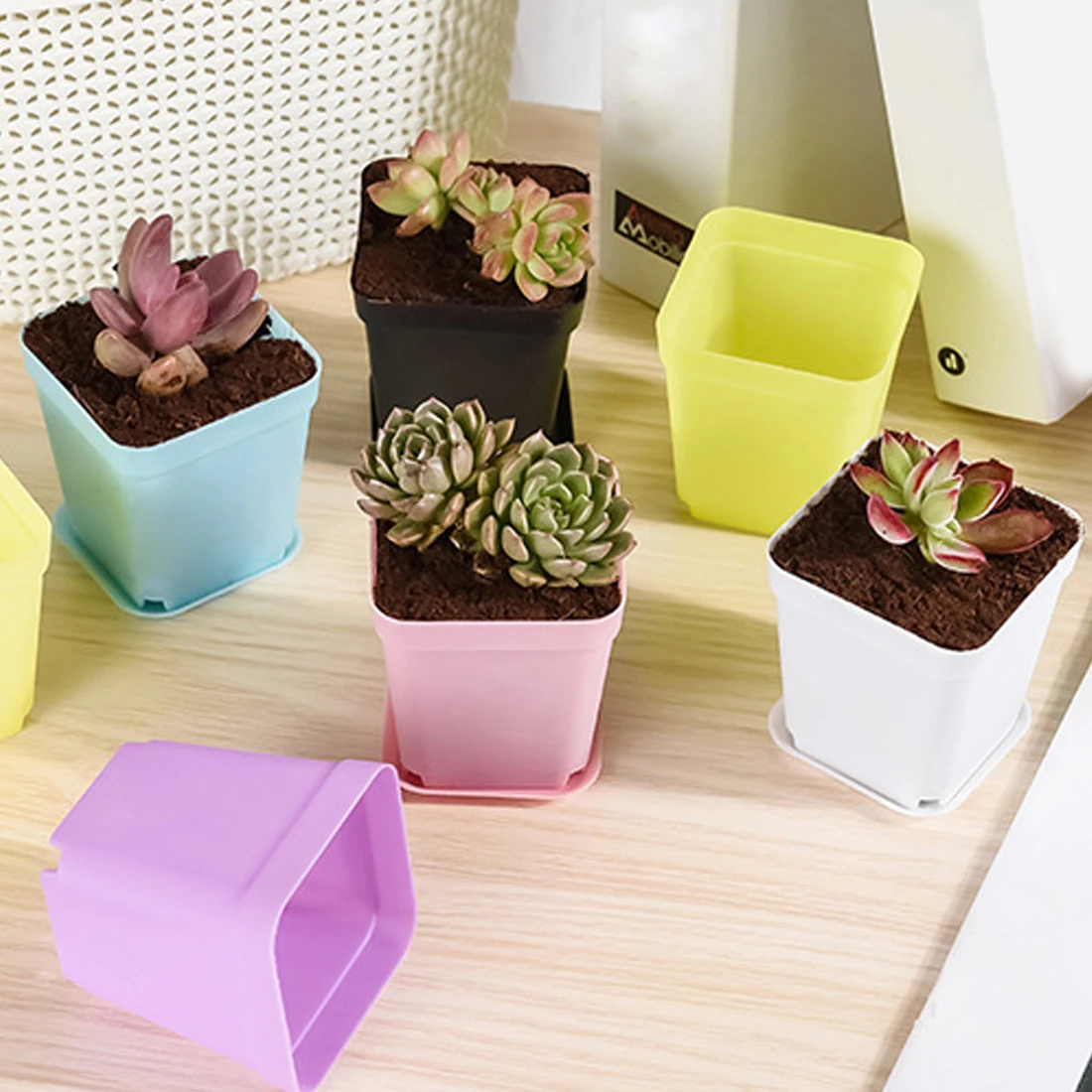 Candy Color Mini Basin Square Flower Pot Succulent Plant Trays DIY Transplant Flowerpot Planters Grow Pot Home Office Decor