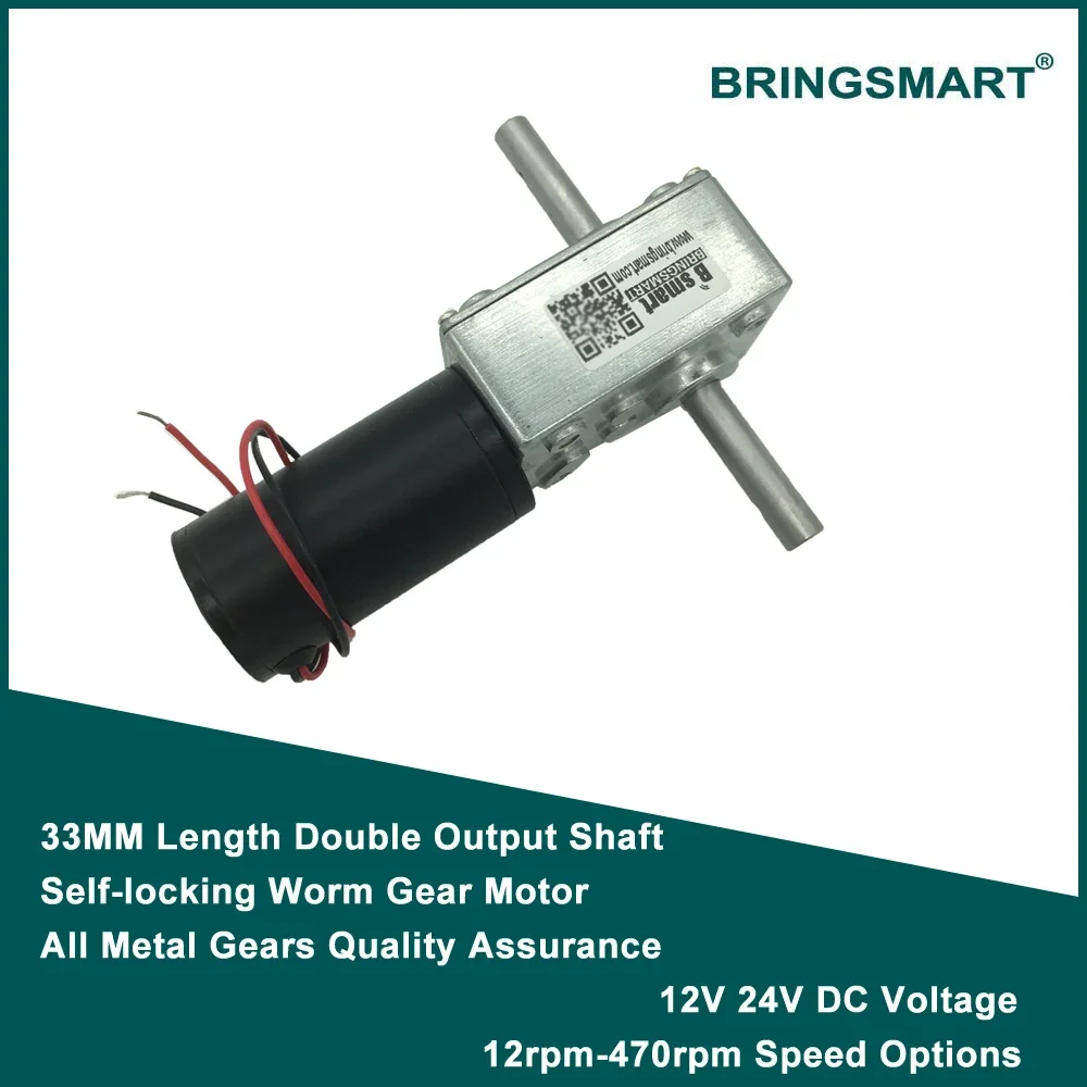 Bringsmart 5840-31zy Double Shaft Motor 24V DC Worm Geared Motor 4V DC Reducer Motors High Torque Reversed Self-lock for Robot