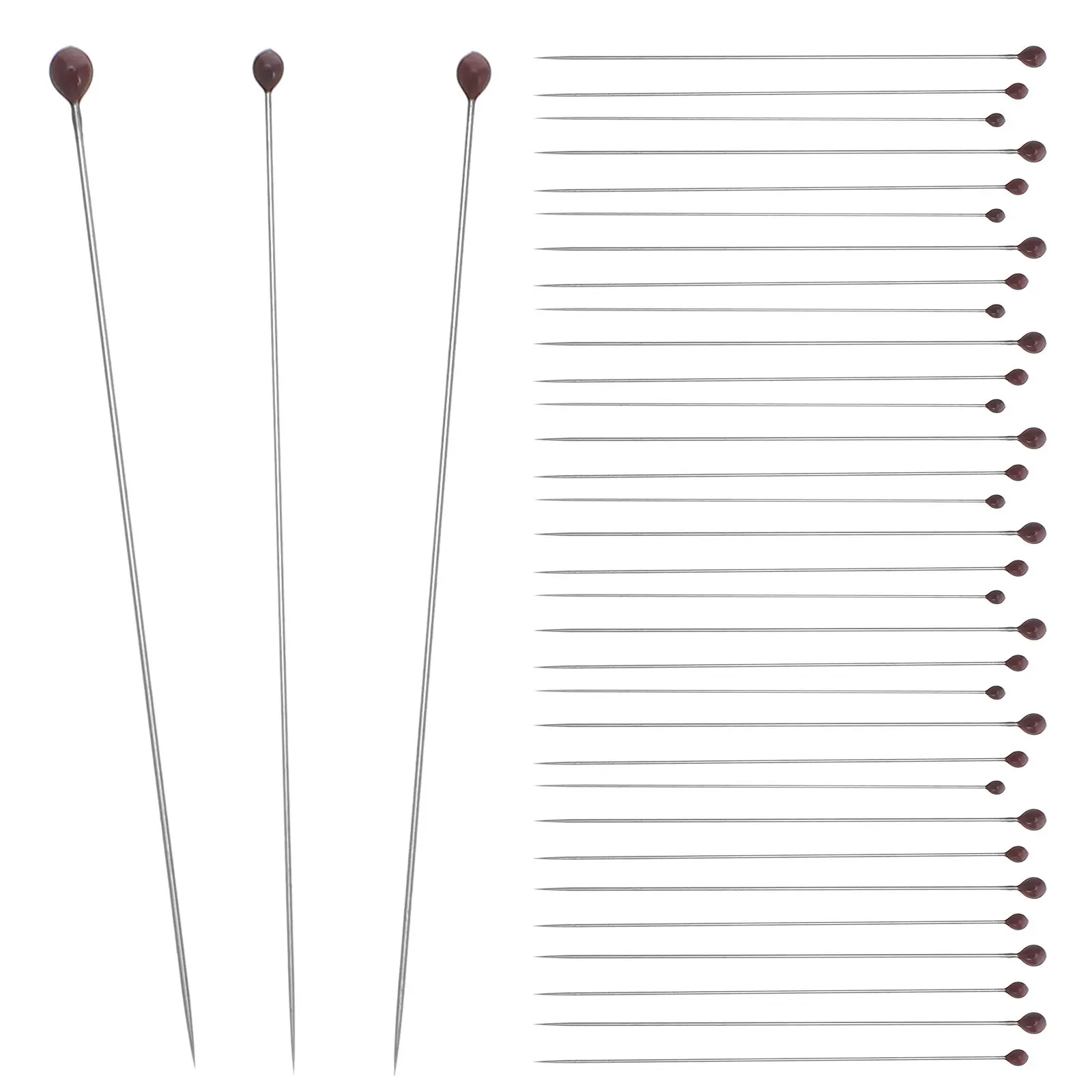 300Pcs Insect Specimen Pin Stainless Steel Rustproof Entomology Fixing Needle for School Lab Butterfly Mounting Display