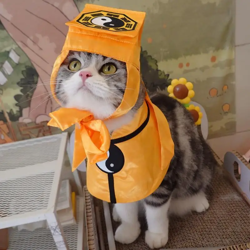 Imitatie Van Een Taoïstische Grappige Kattenkleding Huisdier Transformatie Kat Halloween Kostuums Engels Korte Amerikaanse Kat