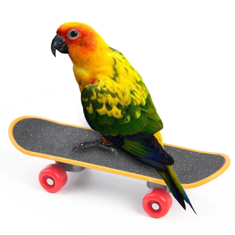 NONOR 1Set Of Training Pet Bird Toy Set Interactive Parrot Equipment Set Funny Bird Activity Toy Pet Bird Basketball Skateboard