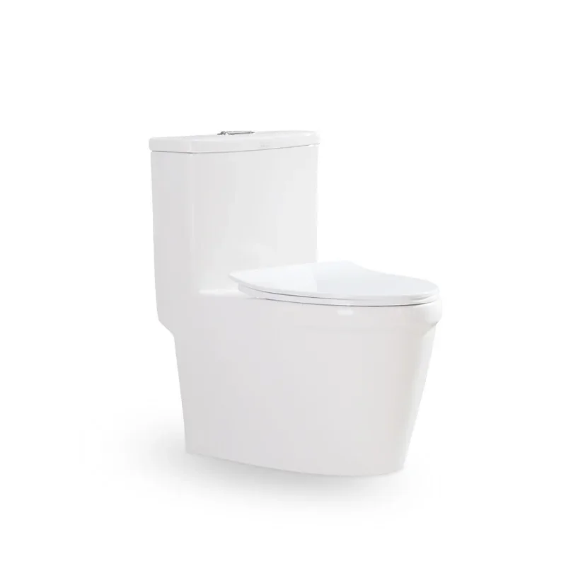 Antifreeze cracked toilet toilet double-layer deodorant ordinary toilet large pipe