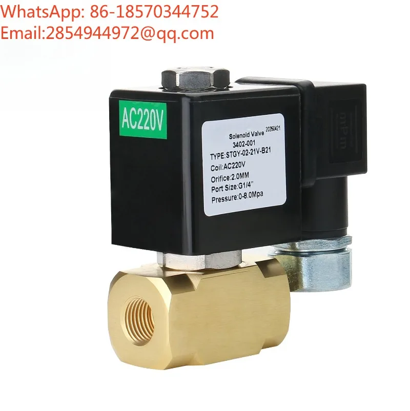Solenoid Valve STGY-02-21V-B21-AC220V High Pressure Direct Acting 2 Points Brass Solenoid Valve